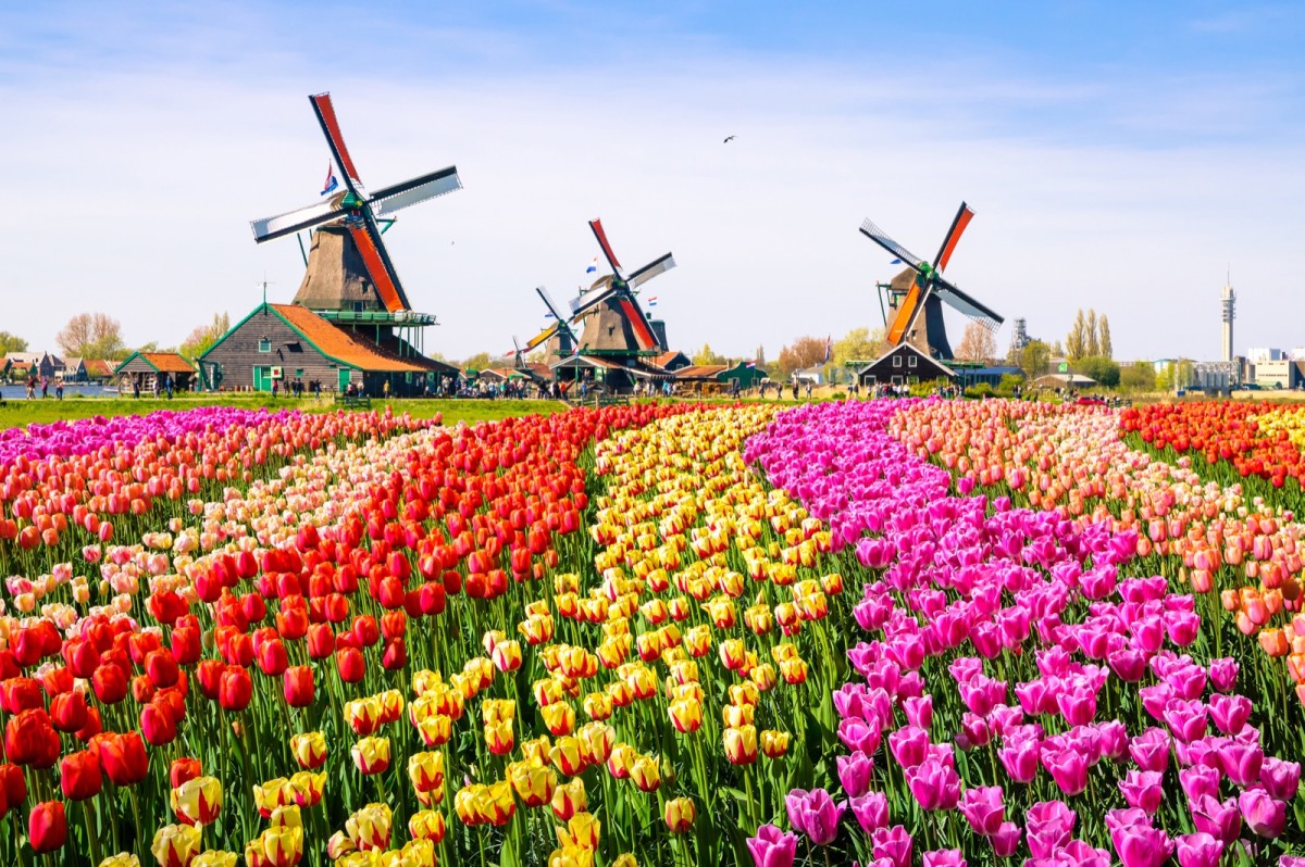 Holandsko je krajina ktorá dokazuje, že napreduje správnym smerom - (7 zaujímavostí).