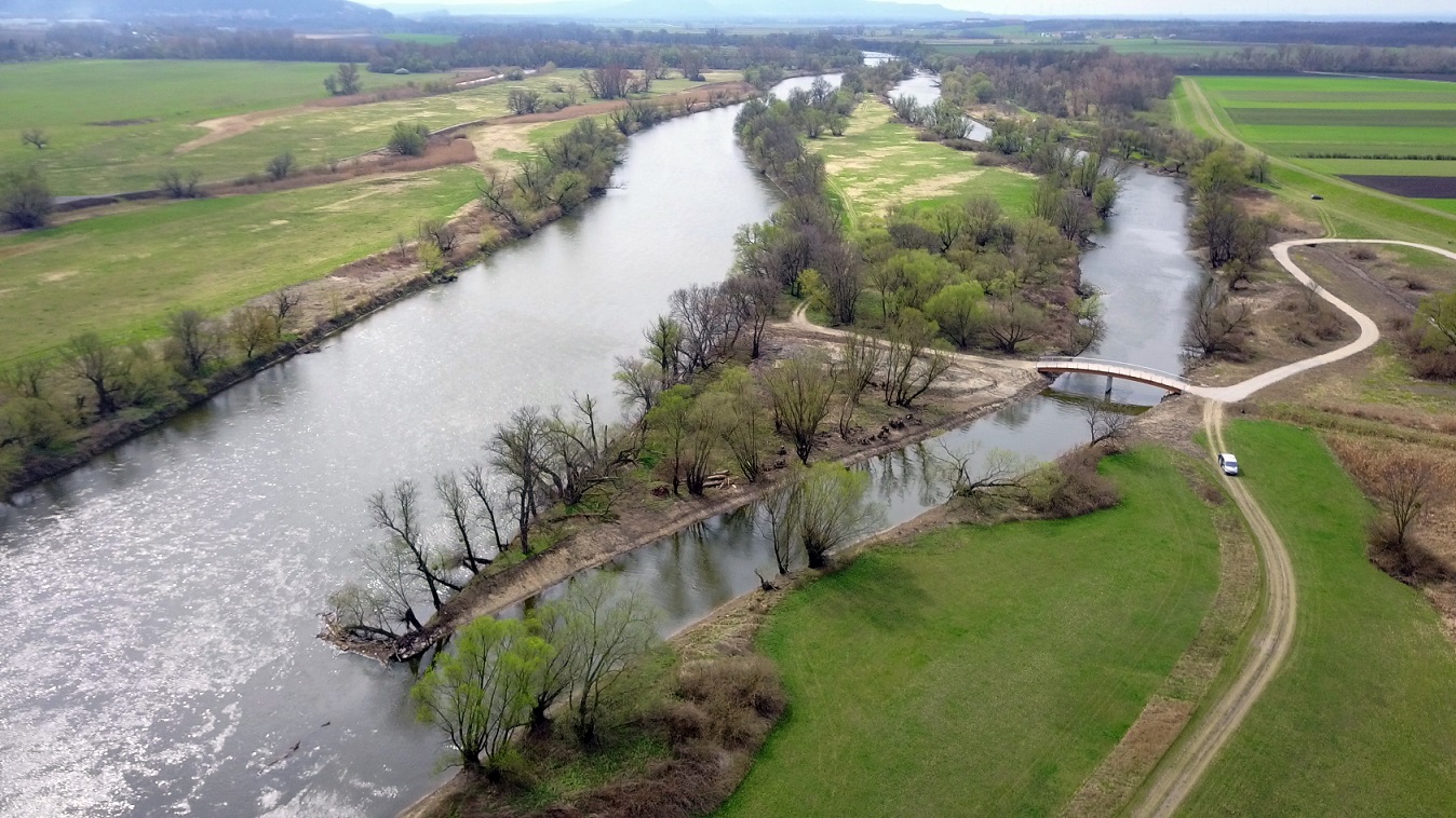 Na rakúskej strane Moravy sa úspešne darí obnovovať život v rieke